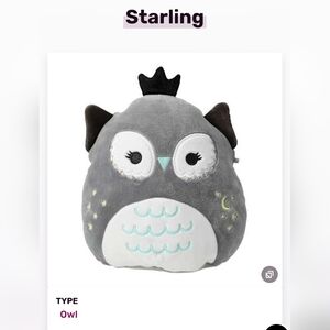 Squishmallows Starling the Owl 2024 limited edition 7.5 " Halloween squad